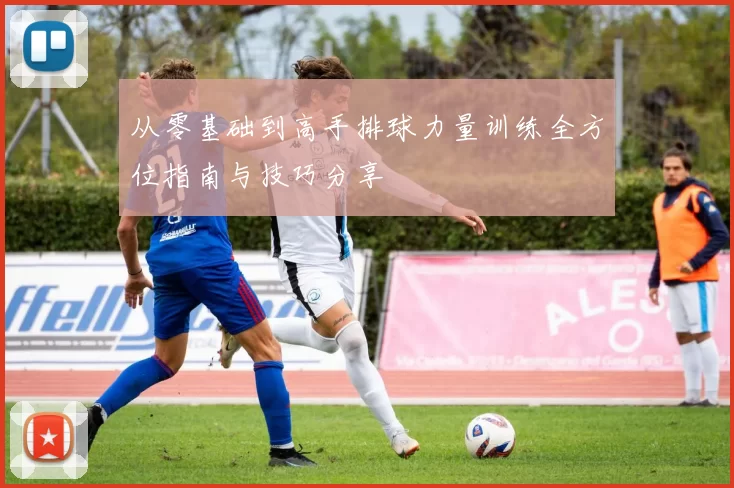 从零基础到高手排球力量训练全方位指南与技巧分享