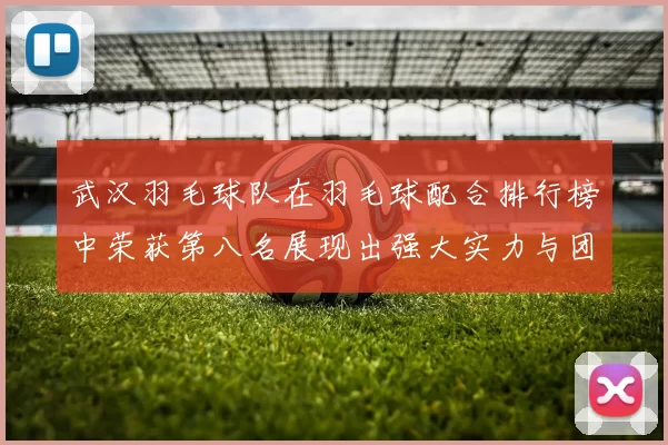 武汉羽毛球队在羽毛球配合排行榜中荣获第八名展现出强大实力与团队默契